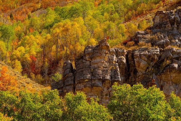 Gulin, Sylvia 아티스트의 USA-Utah-Highway 89 and canyon walls of Logan pass with fall colors작품입니다.
